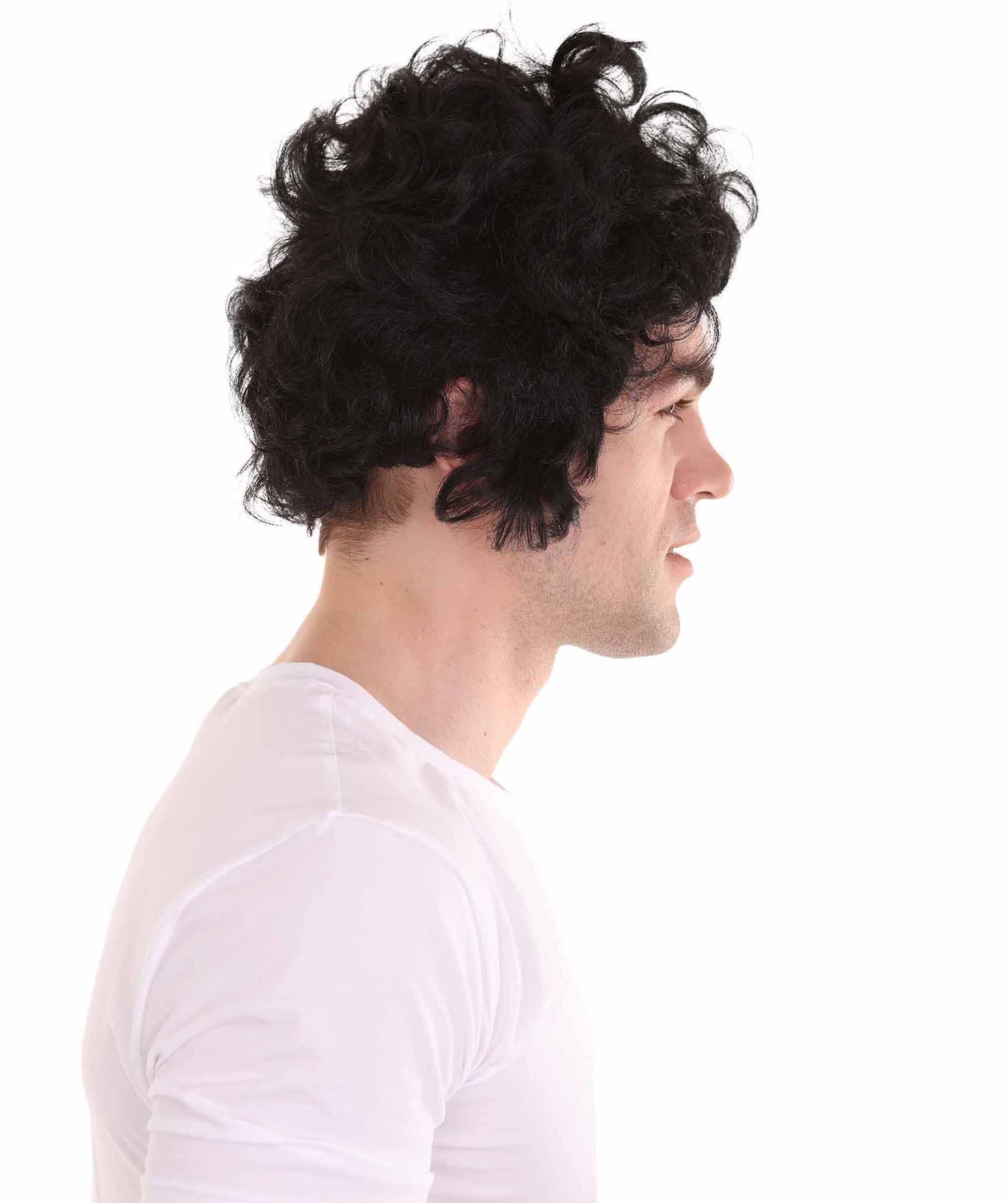 ハロウィンパーティー プレミアム 男性用 H-2274 50年代 ポンパドール ウィッグ