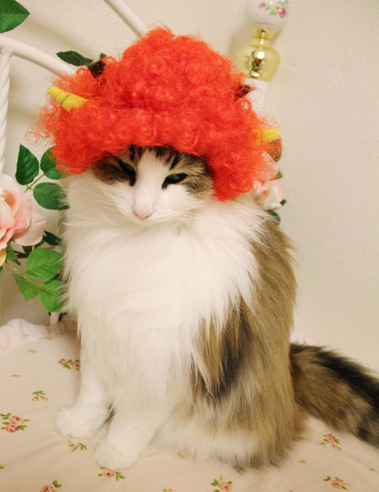 ペットウィッグ P-022 ネオンレッド ポジティブにインパクトを与えるペットウィッグ