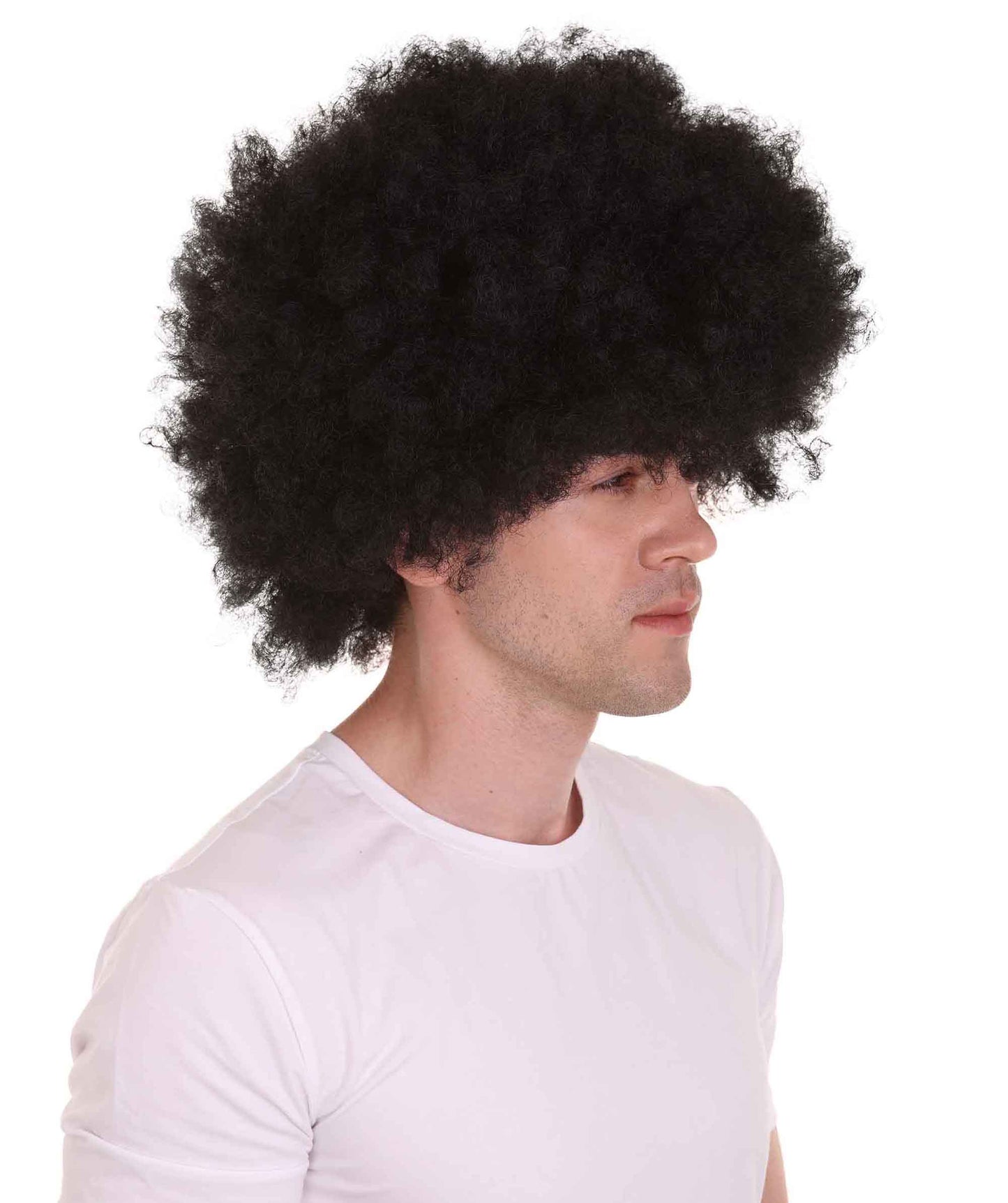 ハロウィンパーティー プレミアム 男性用 H-2264 ディスコ アフロ ウィッグ