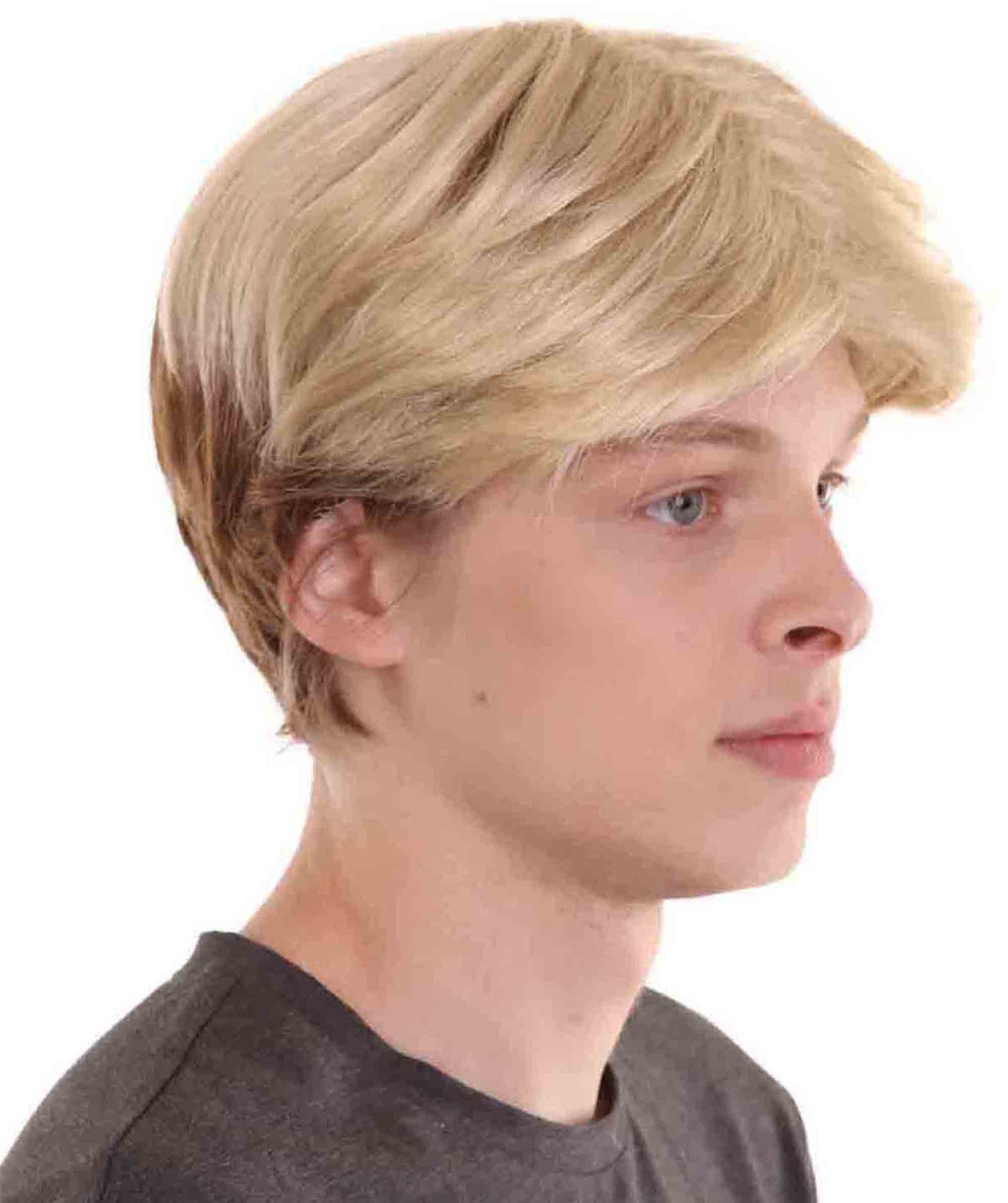 ハロウィンパーティープレミアム大人用 H-2206 ボーイバンドウィッグ 信頼を取り戻す 男性の髪の部分の利点