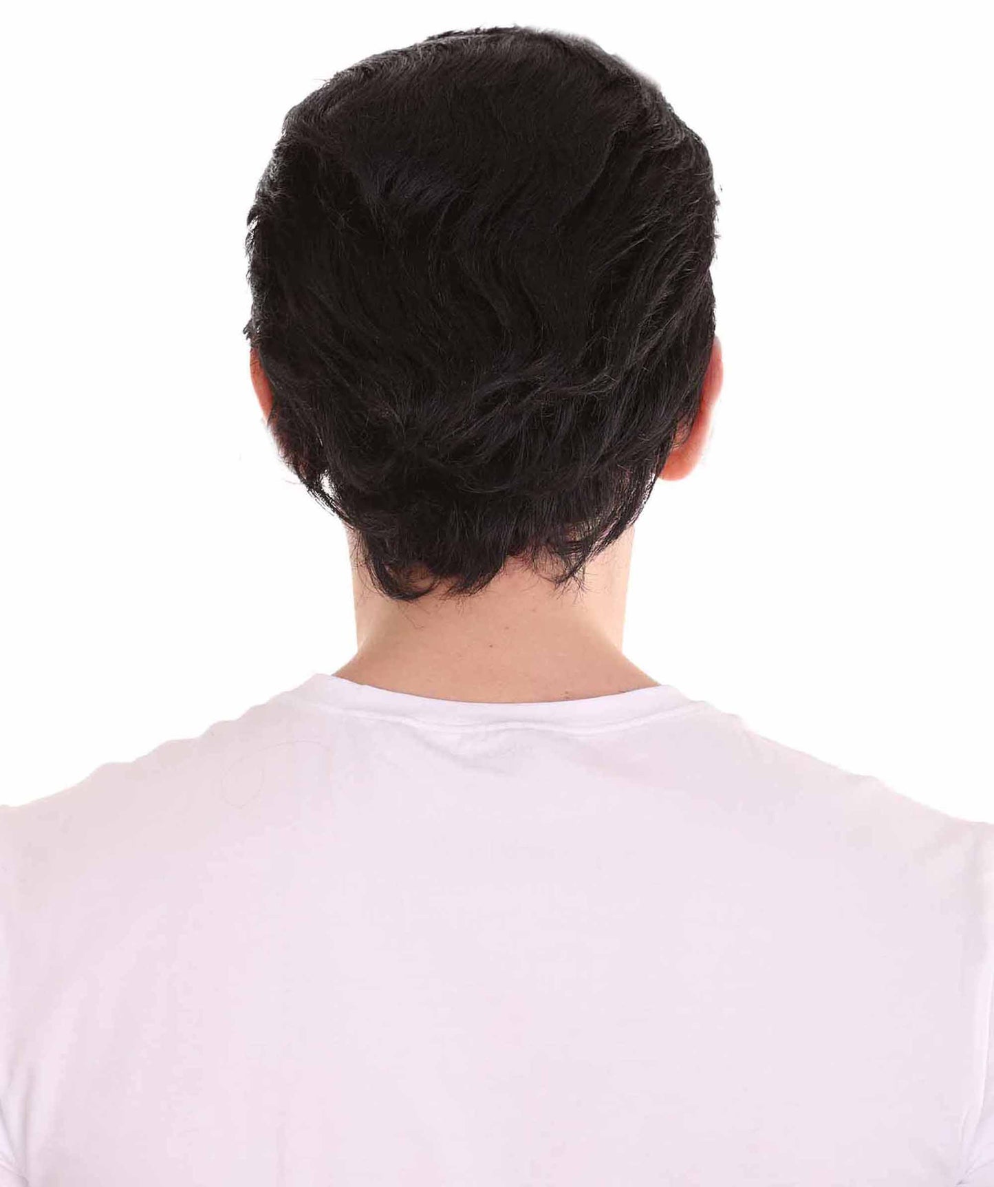 ハロウィンパーティー プレミアム 男性用 H-2272 テディボーイ ウィッグ