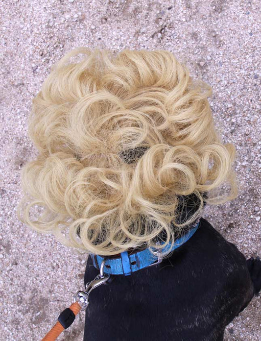 ペットウィッグ P-002 プラチナブロンド おしゃれなペットのためのトレンドセッターウィッグ