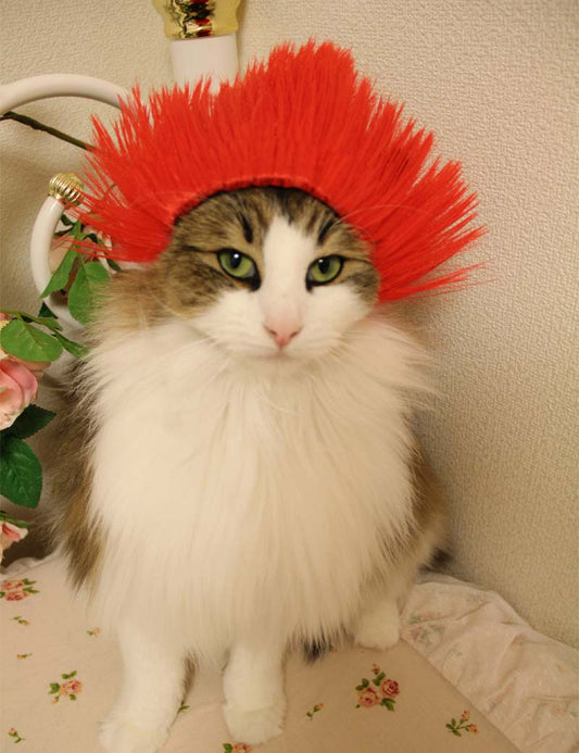 Pet Wig P-020 Red Stylish Pet Wigs to Unleash Your Pet's Inner Star