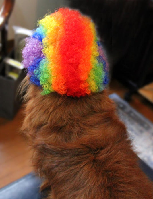 ペットウィッグ P-026 レインボー ピクチャーパーフェクトな瞬間のためのプレミアムなペットウィッグ