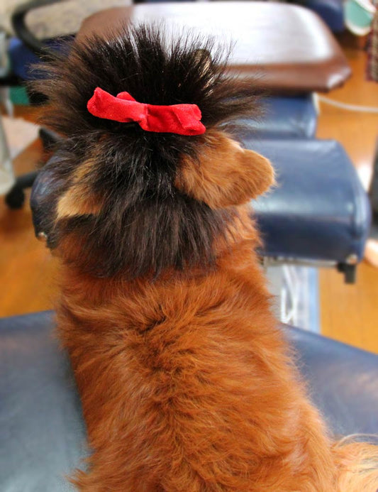 ペットウィッグP-041 大き目の真っ赤なリボンがアクセントに 元気いっぱいなつんつんヘアです。