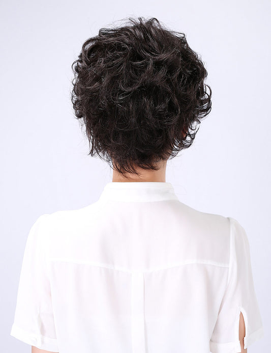 Age 30-40 短い HHB-054 ナチュラルフュージョン シルキー 完璧なブレンド ウィッグ