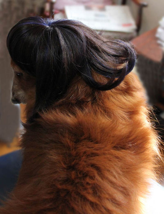 ペットウィッグ P-034 ミッドナイトブルー シックなクリッターキャップ、おしゃれなペットのためのウィッグ