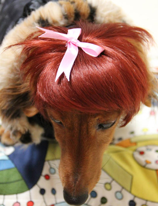 ペットウィッグ P-015 ラスティーレッド 遊び心溢れるカラフルなペットウィッグコレクション