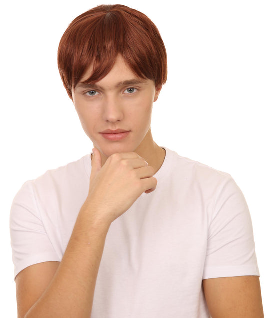 ハロウィンパーティー プレミアム 男性用 H-2237 60年代 モッド シャッグ ウィッグ