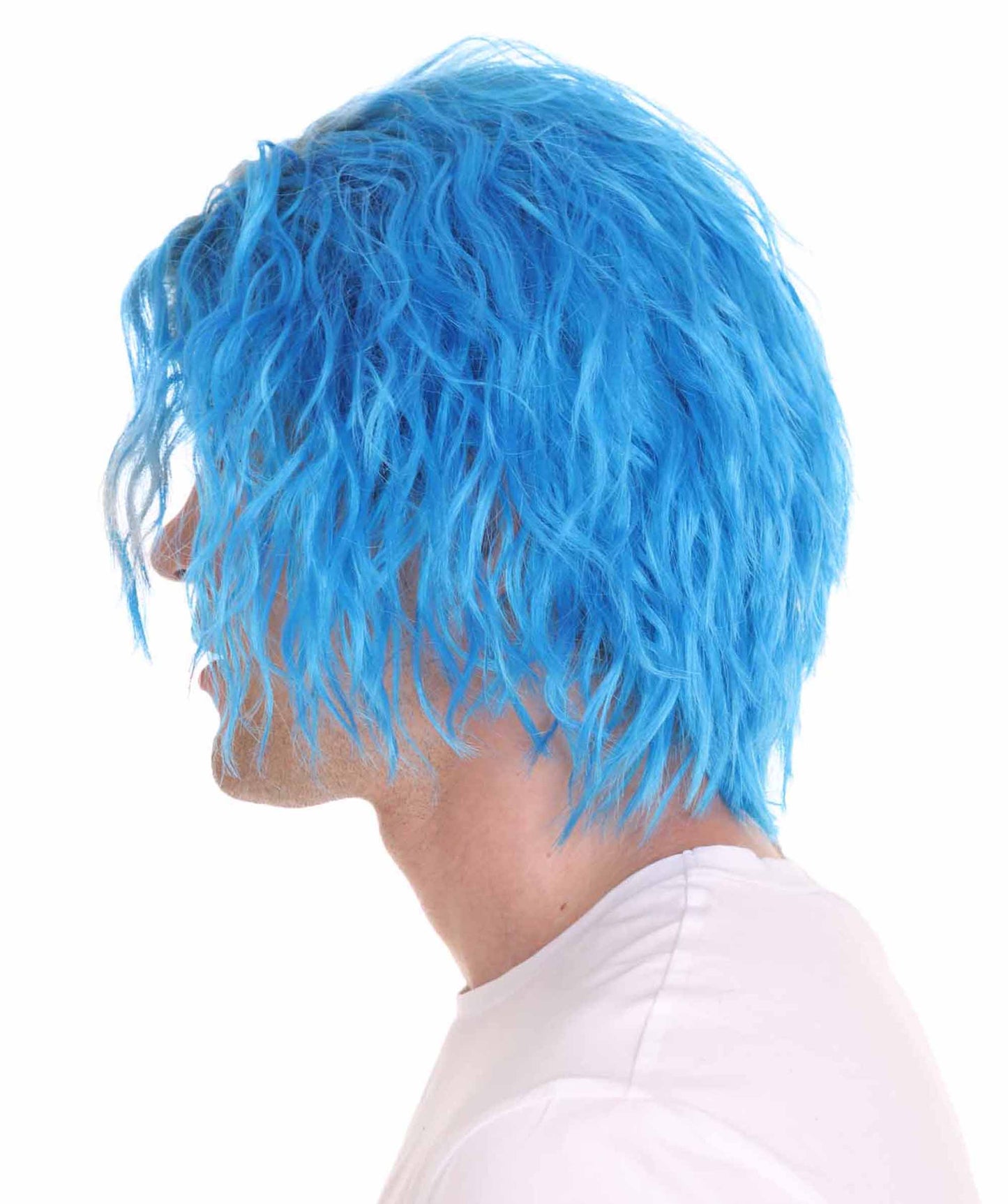ハロウィンパーティ プレミアム 男性用 H-4779 カルトリーダー カイ・アンダーソン 「アメリカンホラーストーリー」ブルーウィッグ