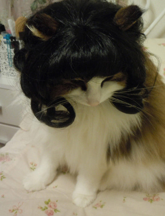 ペットウィッグ P-006 ジェットブラック 犬や猫のためのプレミアムなペットウィッグ