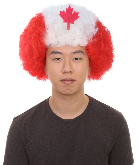 ハロウィンパーティー プレミアム 男性用 H-2266 カナダ アフロ ウィッグ