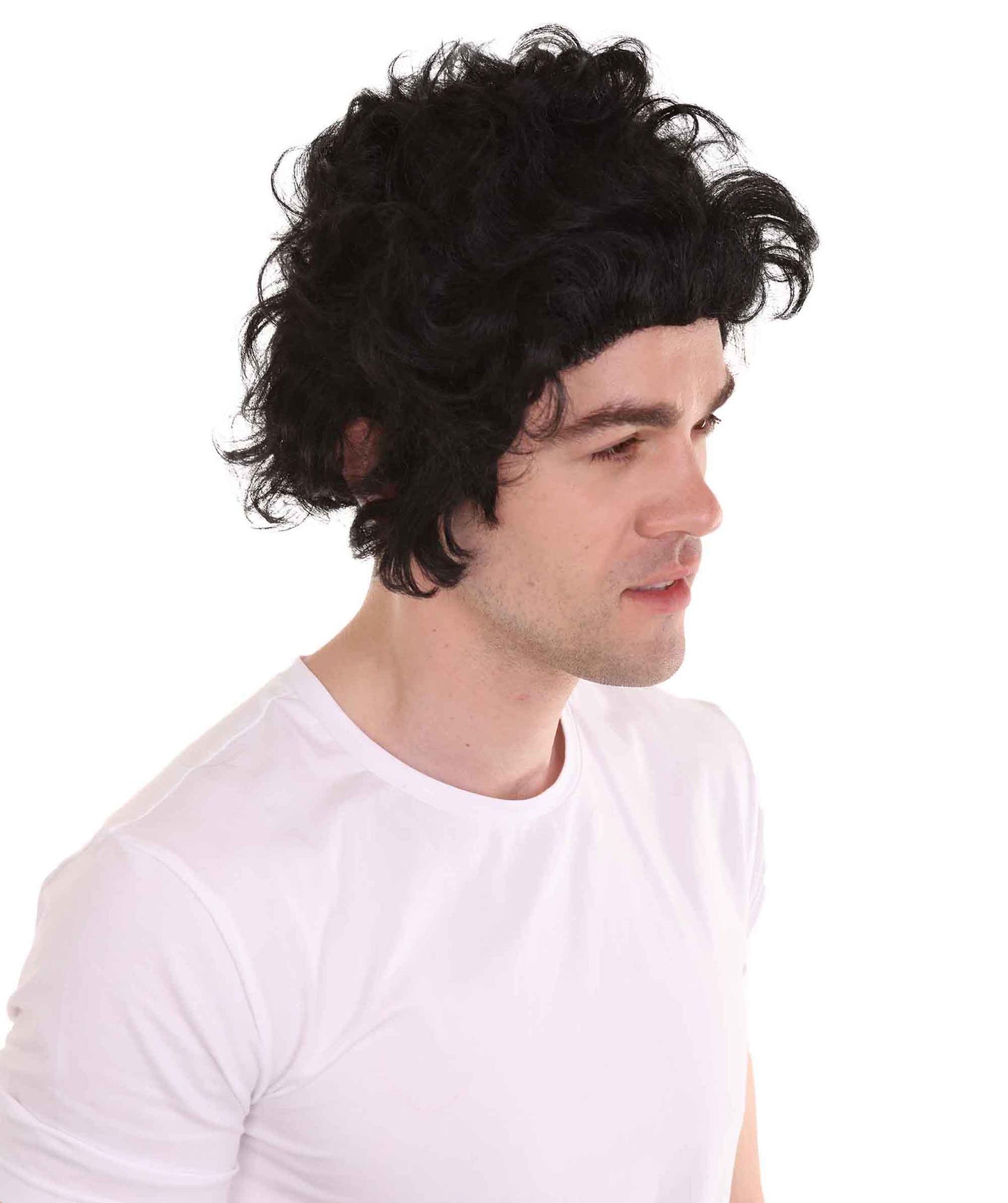 ハロウィンパーティー プレミアム 男性用 H-2274 50年代 ポンパドール ウィッグ
