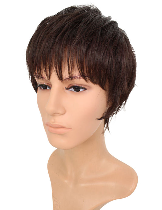 メンズウィッグ | 簡単にボリュームアップ | 薄毛対策 に最適 | 耐熱商品 | ウィッグネット付き WM-030