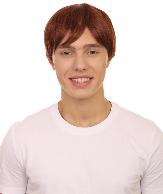 ハロウィンパーティー プレミアム 男性用 H-2237 60年代 モッド シャッグ ウィッグ