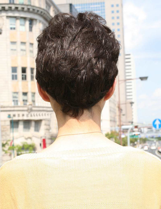 Age 30-40 短い HHB-047 ナチュラルフュージョン シルキー 完璧なブレンド ウィッグ