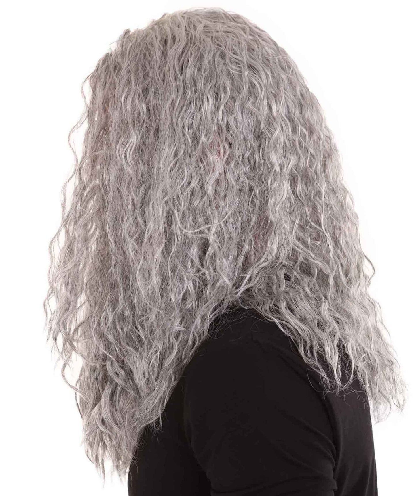 Wigs2you ハロウィンパーティー プレミアム メンズ H-646 ガンダルフ ウィッグ&ヒゲ グレー色