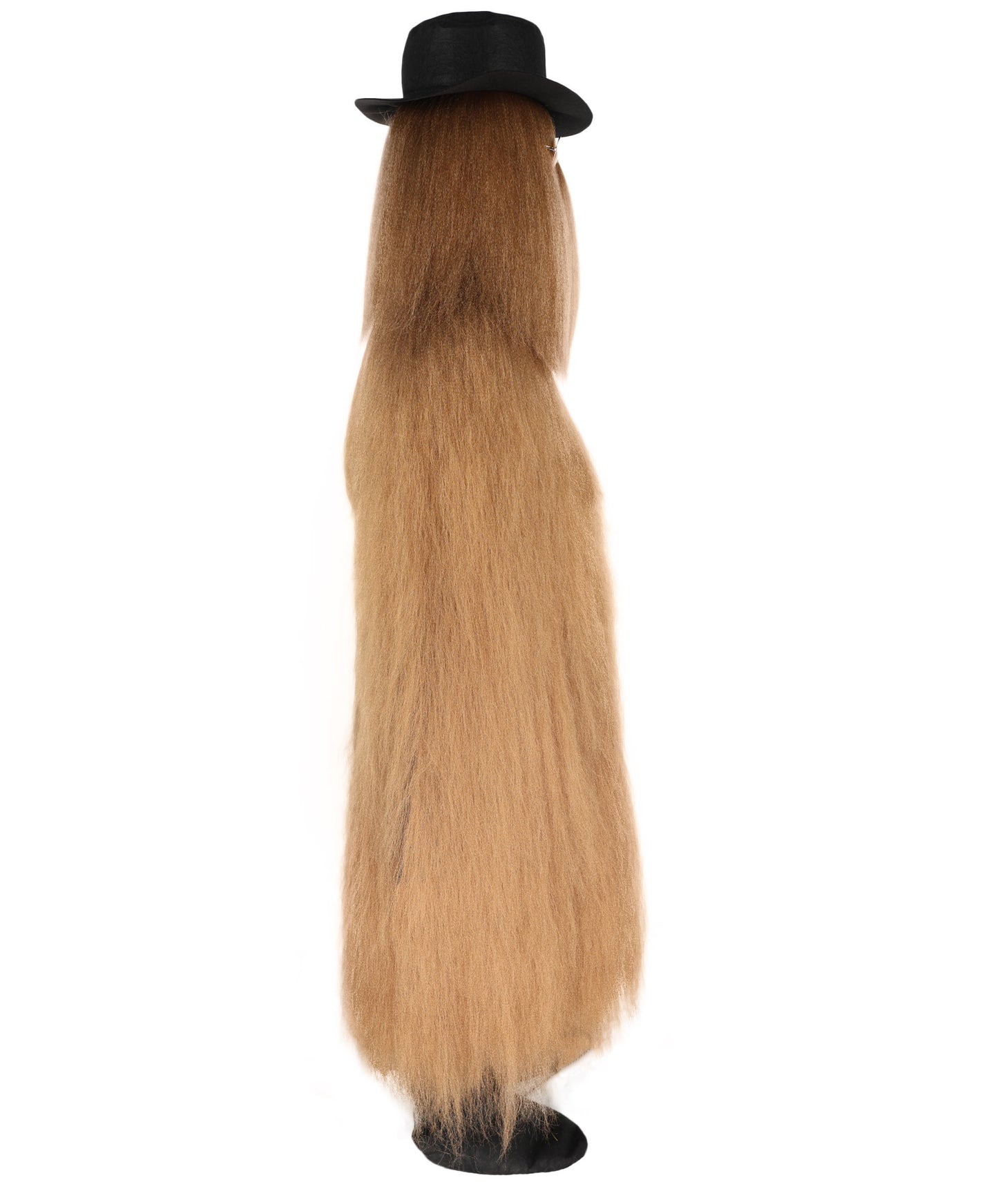Wigs2you H-4868P 大人用 架空のキャラクター ストレートヘア 71インチ ロングコスチューム&ウィッグセット 帽子とグラス付き マルチカラーオプション 難燃性合成繊維