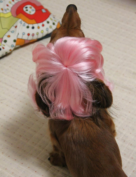 ペットウィッグ P-013 ベビーピンク トレンディな四足ファッショニスタのためのペットウィッグ