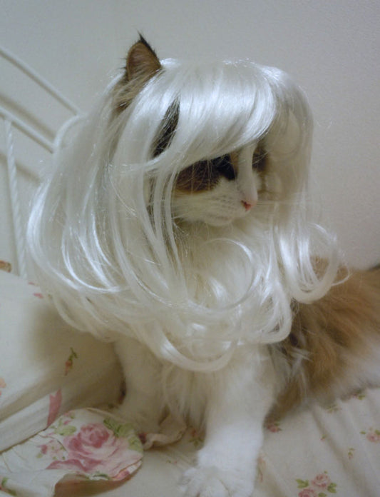 ペットウィッグ P-008 ホワイト 大切な瞬間に彩りを添える夢幻的なペットウィッグ