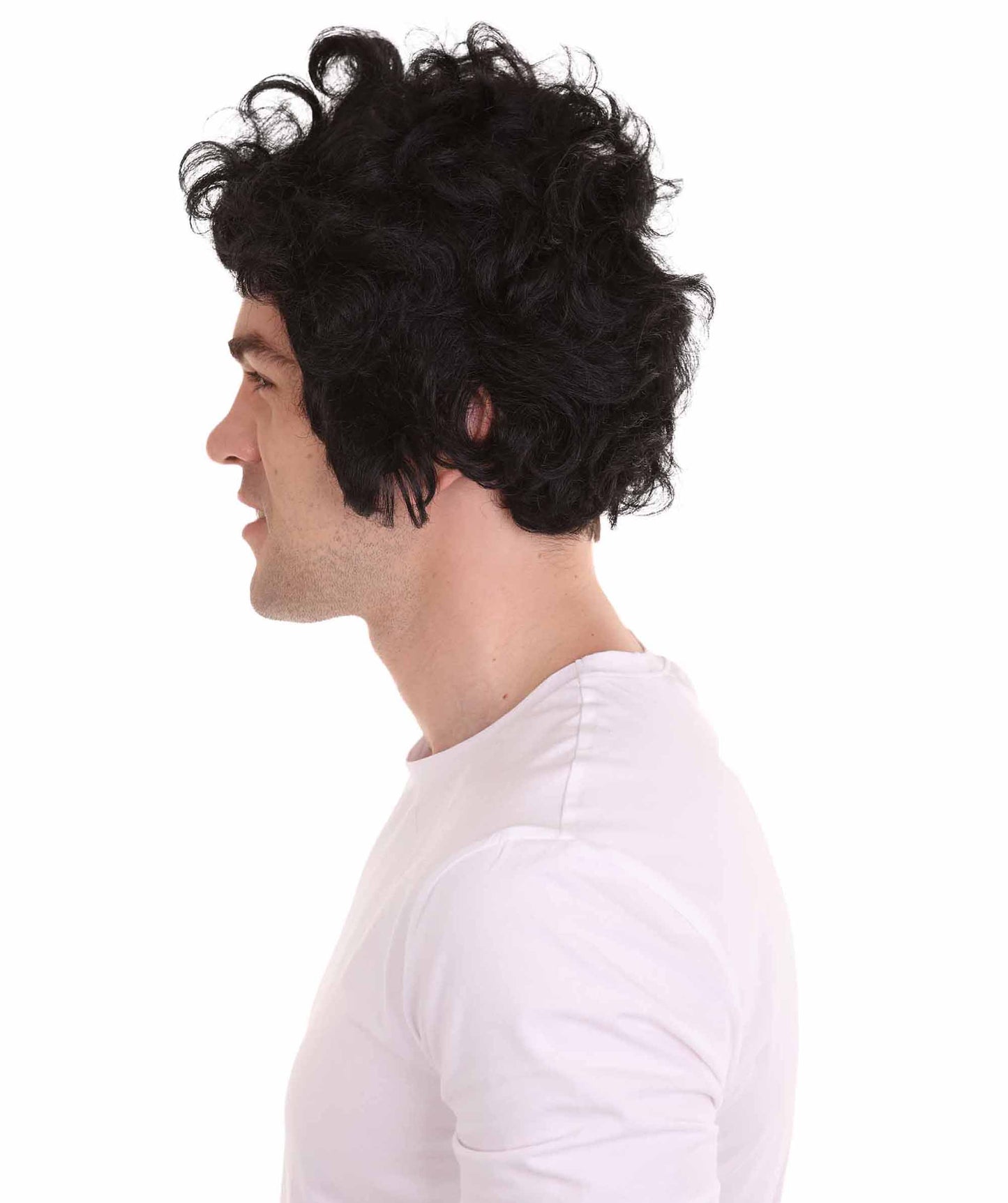 ハロウィンパーティー プレミアム 男性用 H-2274 50年代 ポンパドール ウィッグ