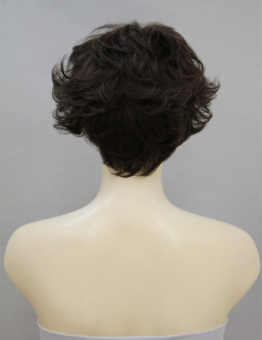 Mrs Styles 年齢 30-40 ショート Sleek Sheen ヒューマンヘア ブレンド フロンタル レース ウィッグ