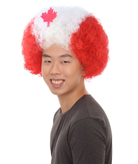ハロウィンパーティー プレミアム 男性用 H-2266 カナダ アフロ ウィッグ