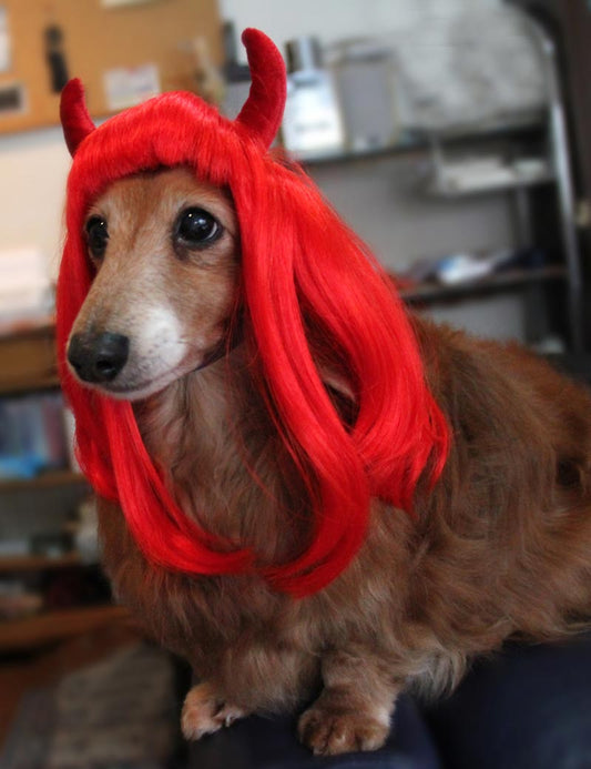 ペットウィッグP-042 角の付いたインパクトの有るロングスタイル!たまにはワイルドに変身しちゃいましょ。