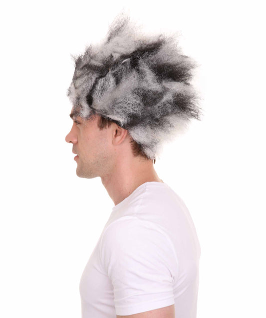 ハロウィンパーティー プレミアム 男性用 H-2505 キャッツ ミュージカル ウィッグ 2