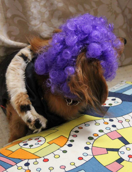 ペットウィッグ P-017 ダブルパープル かわいらしいウィッグでキティのスタイルを華やかに