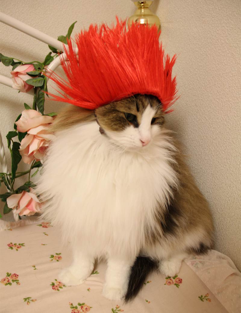 Pet Wig P-020 Red Stylish Pet Wigs to Unleash Your Pet's Inner Star