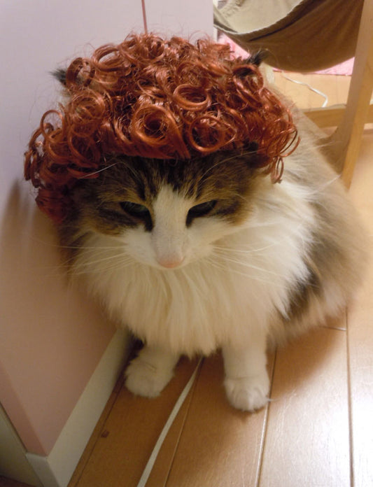 ペットウィッグ P-001 ラスティーレッド 色とりどりなウィッグでペットのルックを変身させよう