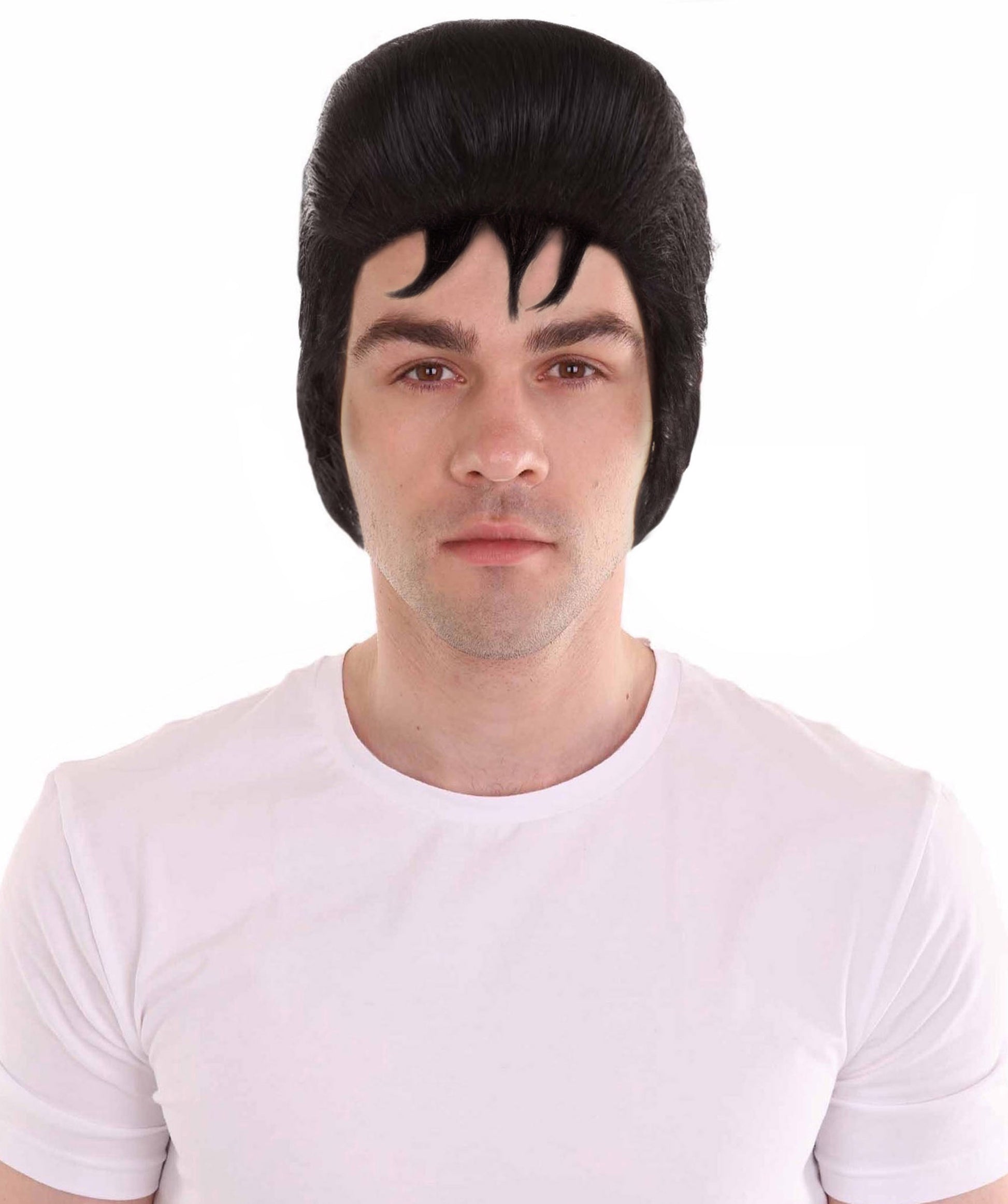 ハロウィンパーティー プレミアム 男性用 H-2272 テディボーイ ウィッグ