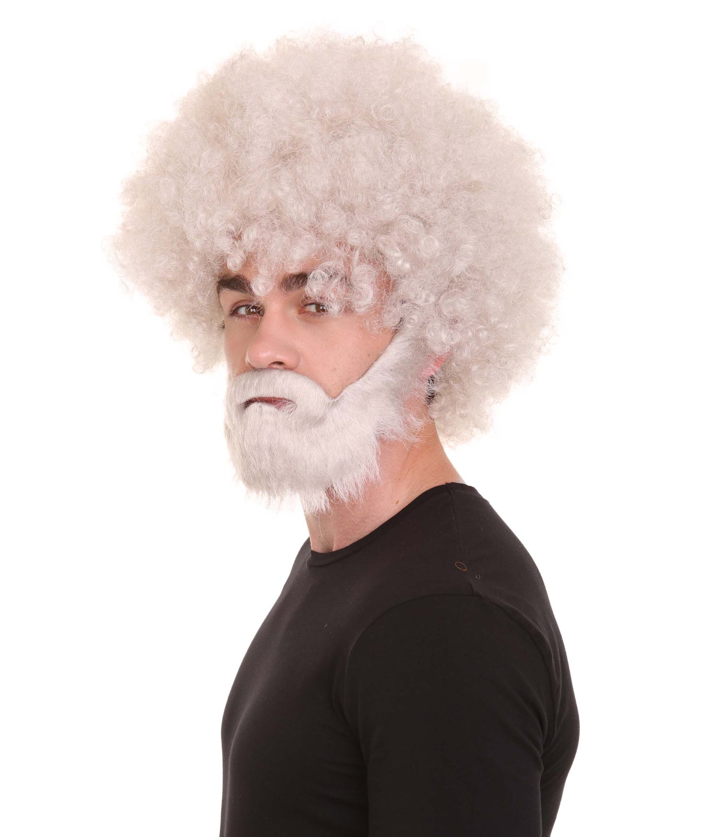 大人 男女兼用 80年代 画家風 アフロウィッグ 顎髭と口髭セット グレー H-5132 シンプルでクラシックなセレブコスチューム プレミアムハロウィンウィッグ