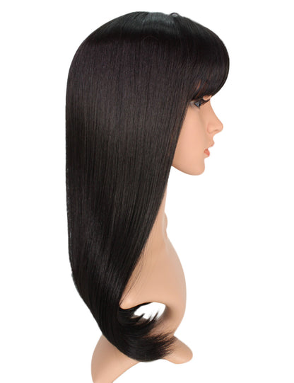 Wigs2you フルウィッグ 日本製ファイバー使用 ロング W-548