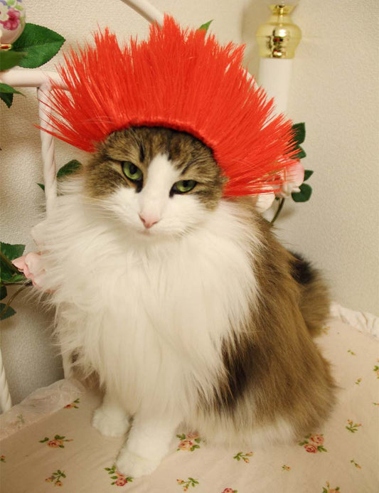 Pet Wig P-020 Red Stylish Pet Wigs to Unleash Your Pet's Inner Star