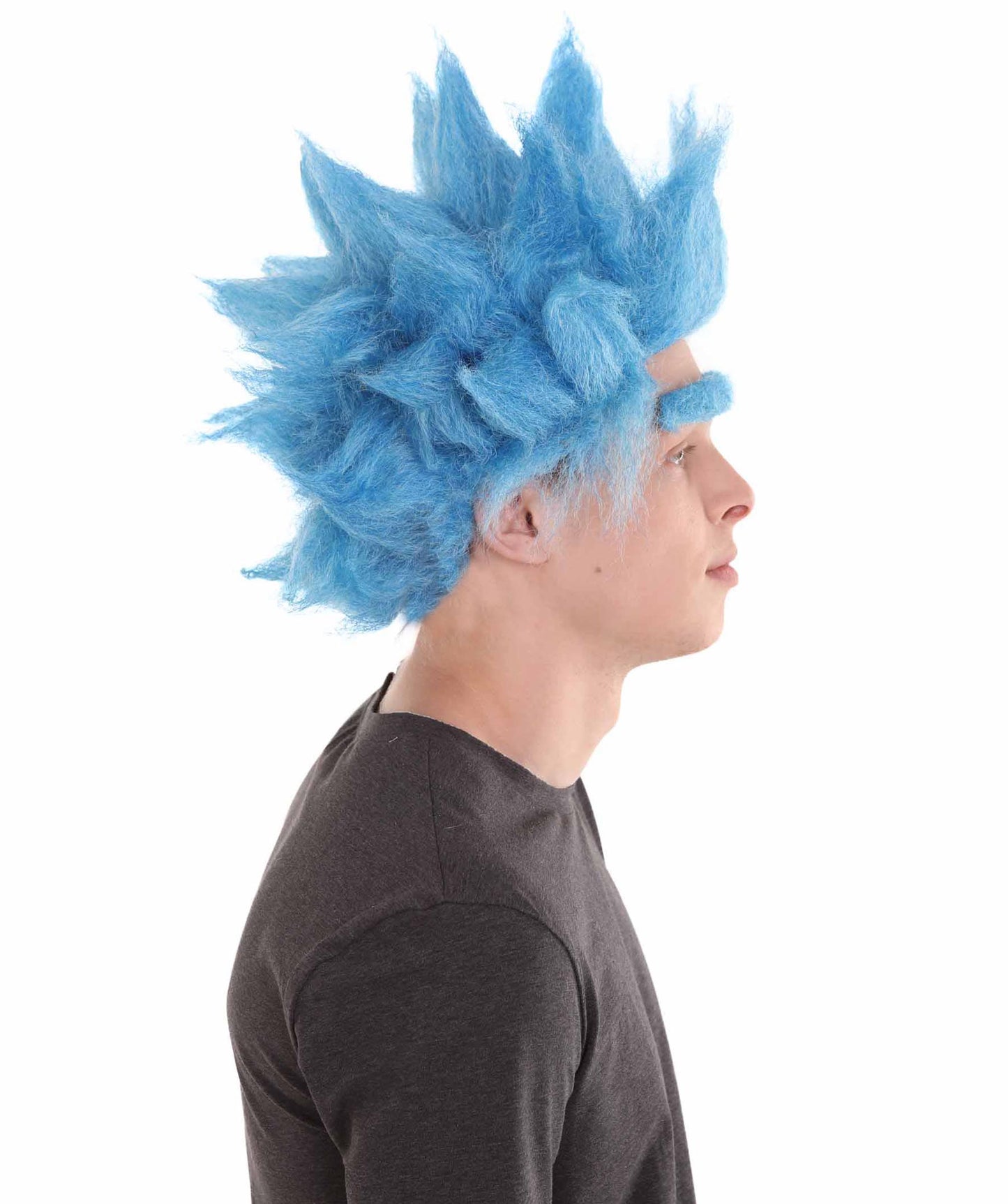 ハロウィンパーティー プレミアム 男性用 H-2383 リック ウィッグ および ユニブロウ