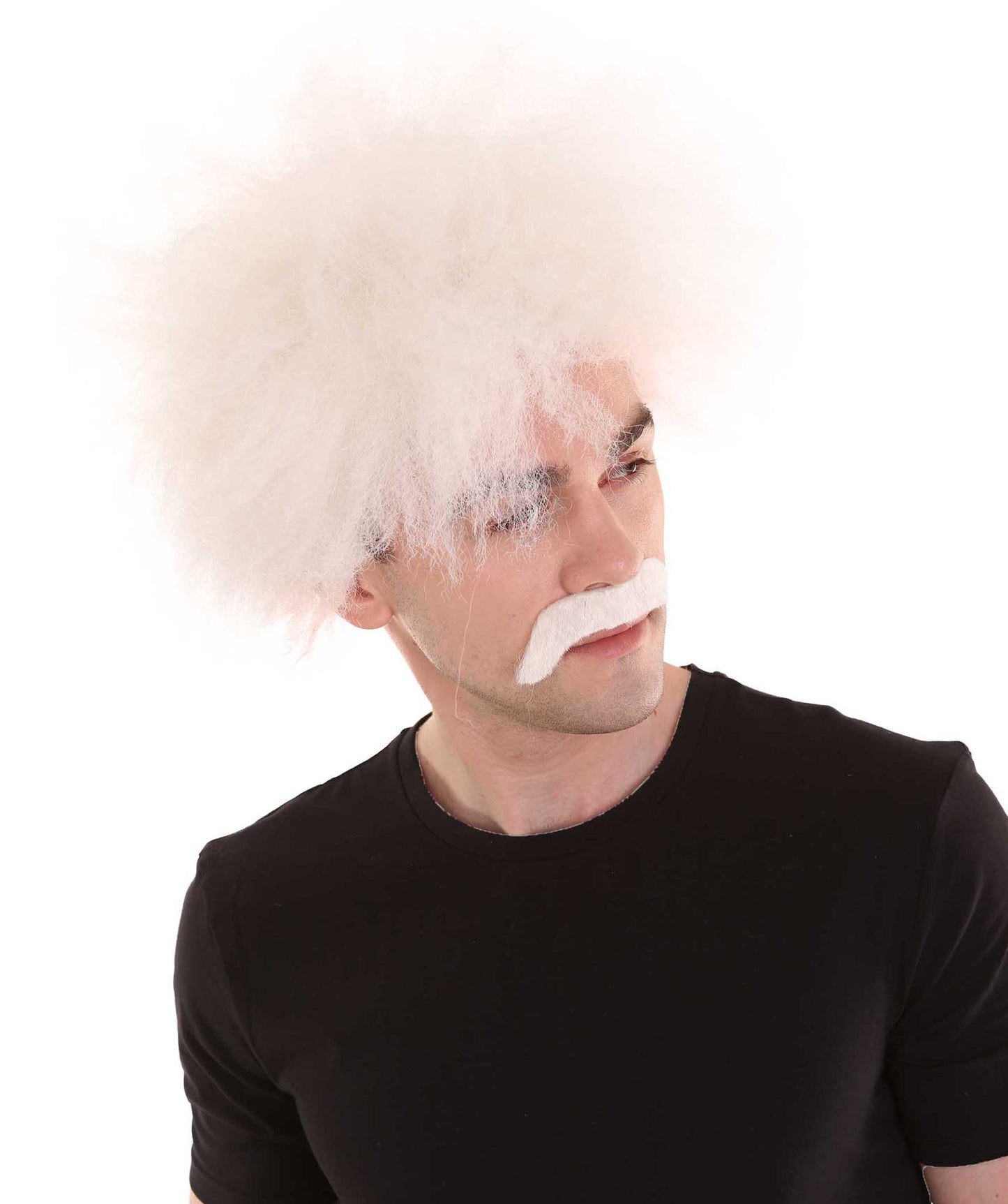 ハロウィンパーティー プレミアム 男性用 H-2263 マッドサイエンティスト ウィッグ および マスタッシュ