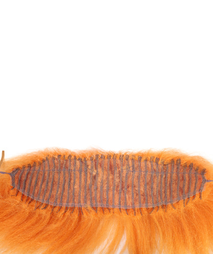 Wigs2you P-054 犬用ライオンたてがみペットウィッグ – 13インチ オーバーン ペットコスチューム ぬいぐるみ耳付き | ミディアムサイズ ハロウィン ペットウィッグ