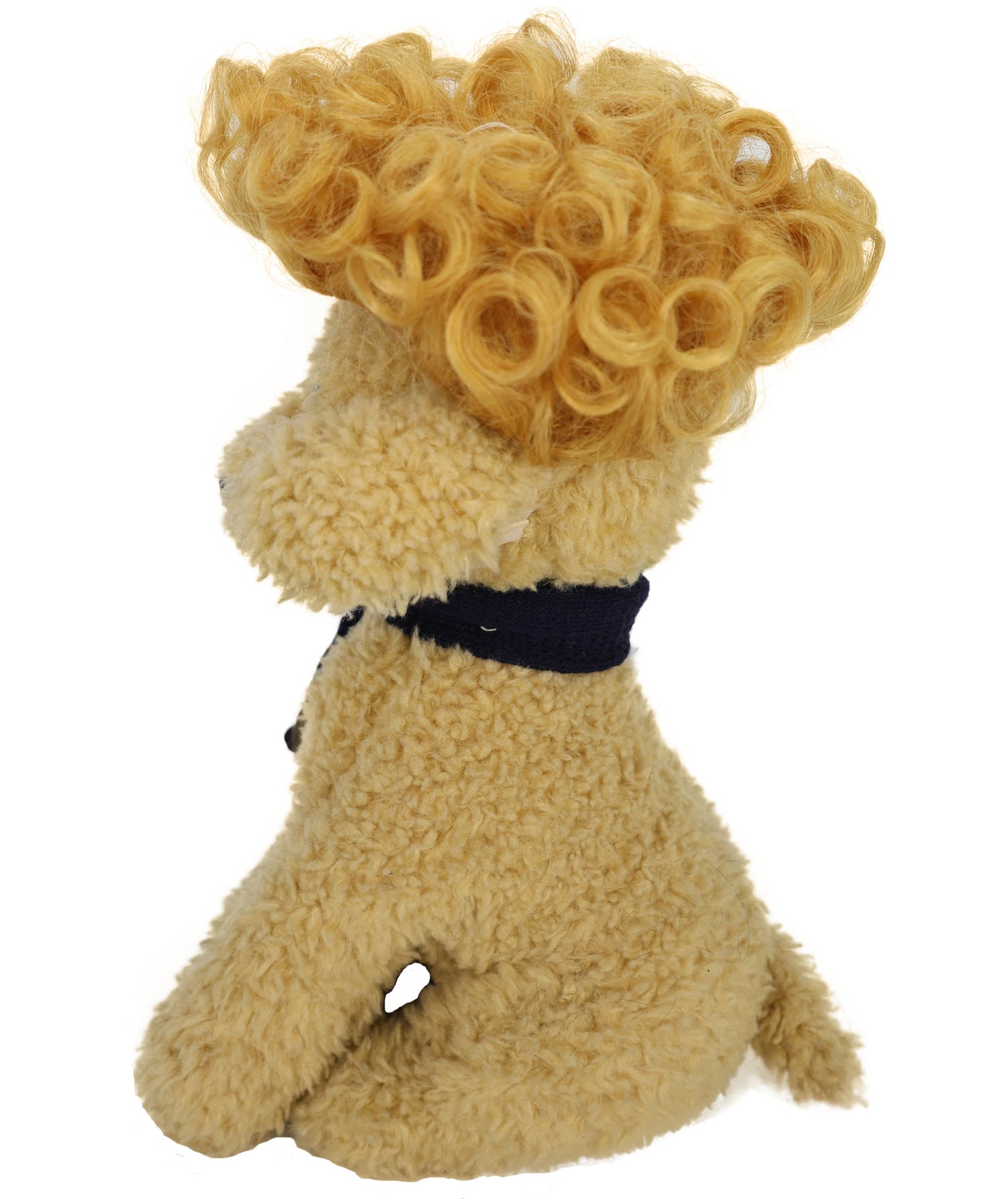 Wigs2you P-057 おもしろ猫用アフロウィッグ、ゴールデンカーリーペットコスチュームウィッグ（コスプレ＆パーティー用）｜4.5インチ