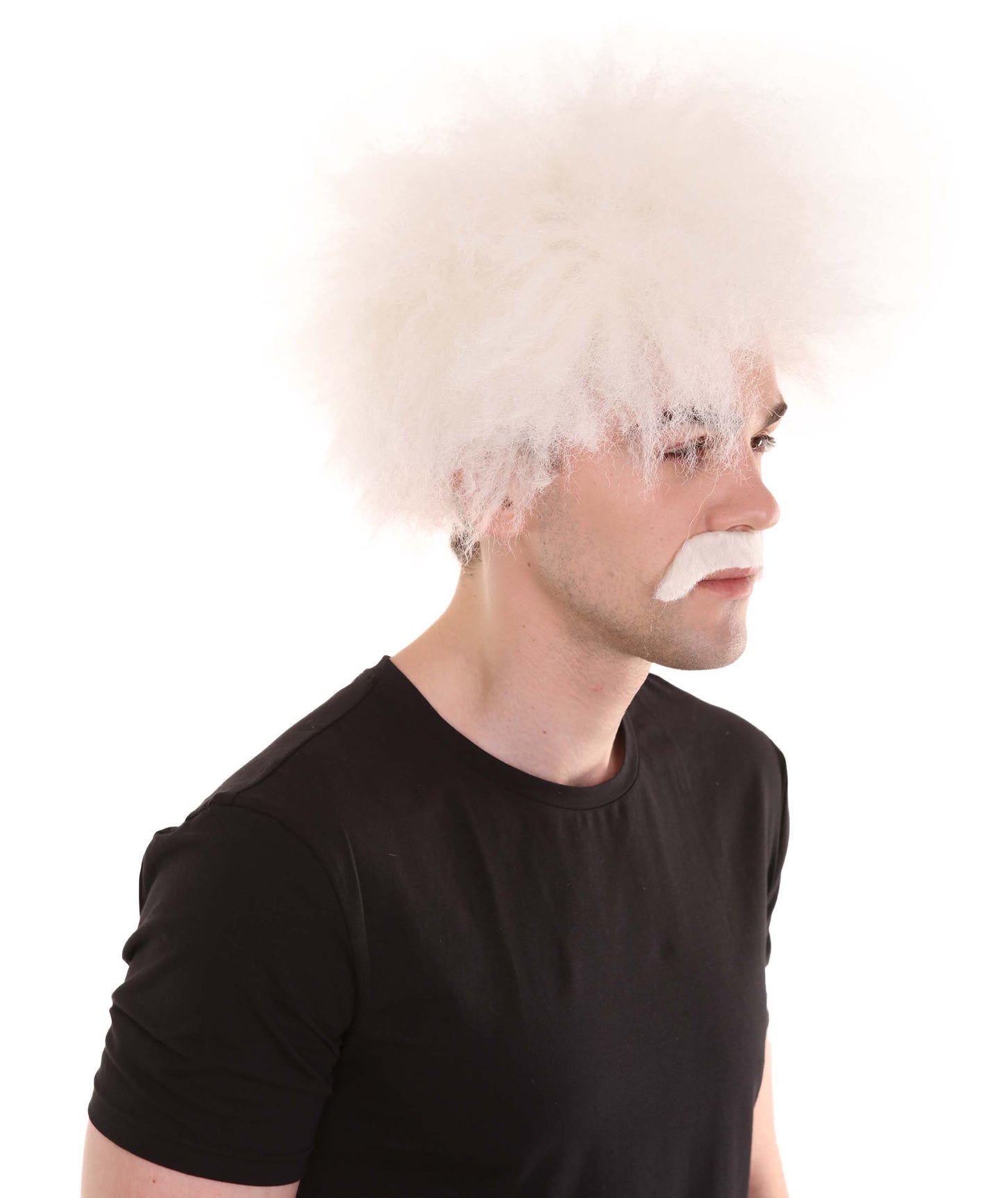 ハロウィンパーティー プレミアム 男性用 H-2263 マッドサイエンティスト ウィッグ および マスタッシュ
