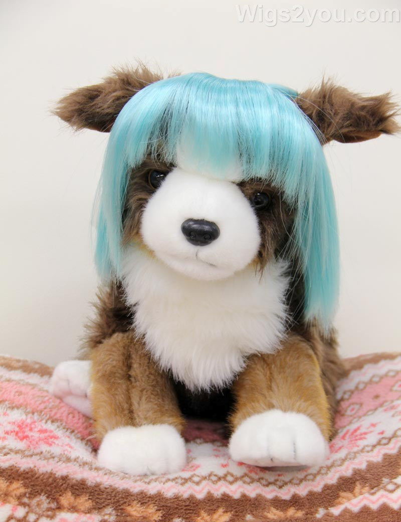 ペットウィッグ P-037 ターコイズ ディバインドッグとクラスキーキャットのための豪華なペットウィッグ