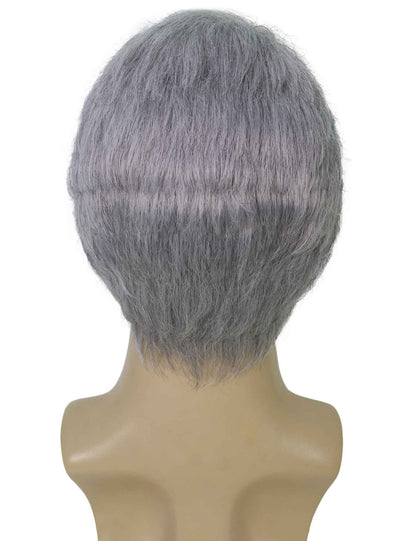 ハロウィンパーティープレミアム大人用メンズ「鬼滅の刃」のしのぶの灰色のウィッグ H-5689