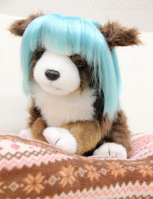 ペットウィッグ P-037 ターコイズ ディバインドッグとクラスキーキャットのための豪華なペットウィッグ