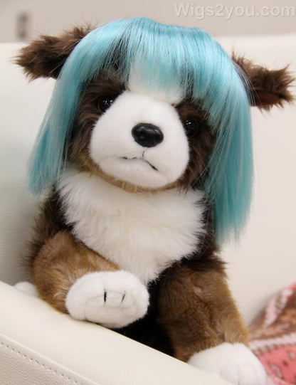 ペットウィッグ P-037 ターコイズ ディバインドッグとクラスキーキャットのための豪華なペットウィッグ