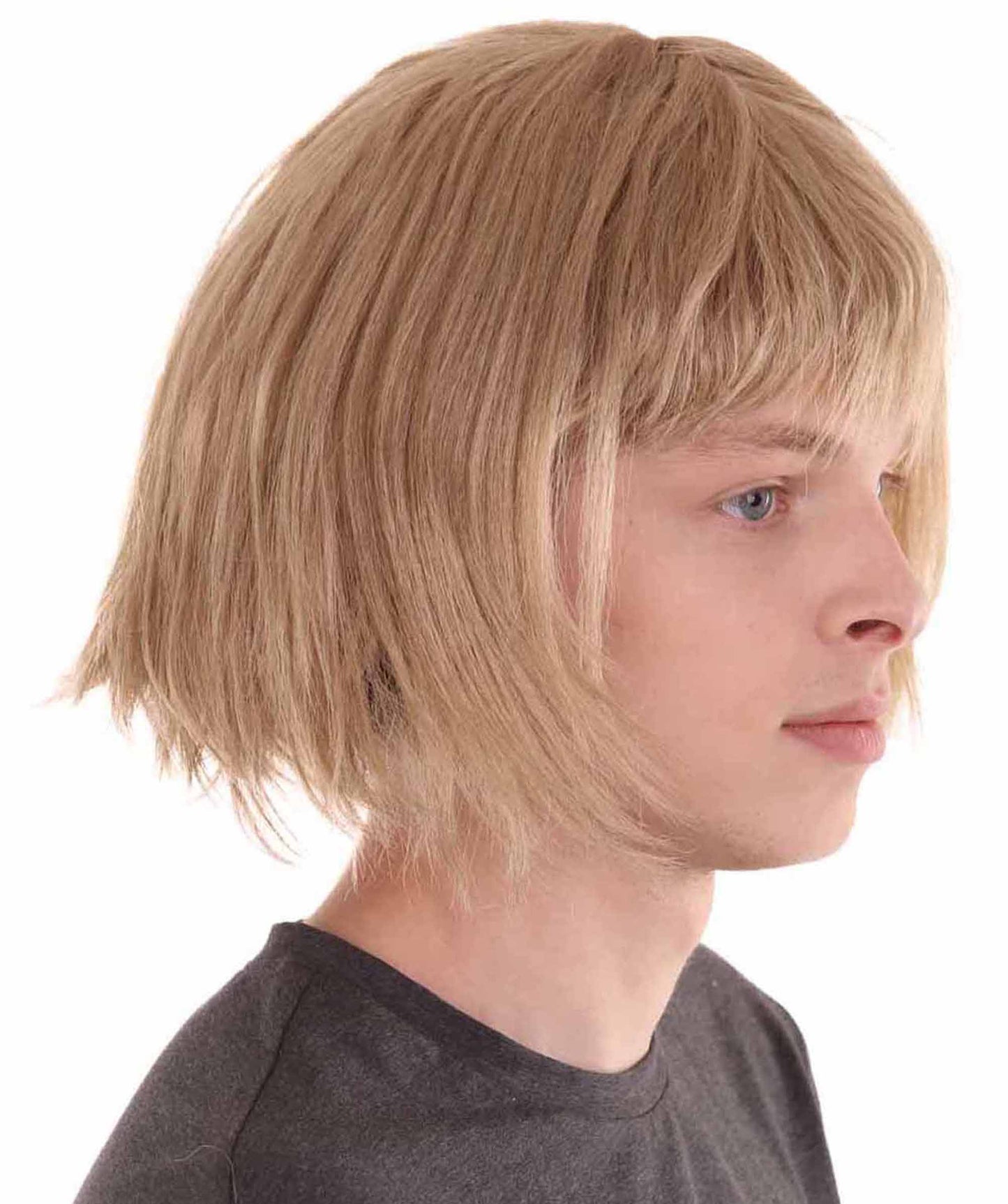 Wigs2you ハロウィンパーティ プレミアムメンズ H-2113 とても快適 コスプレウィッグ ダンバーアンドダンバーハリーダン