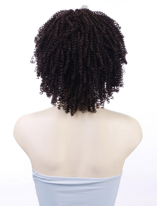 ハロウィンパーティープレミアムレディース W-316 チャコール ファンシーキャラクターファッションウィッグ ソフト合成繊維