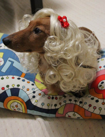ペットウィッグ P-011 プラチナブロンド 表現豊かなウィッグ、猫と犬のため