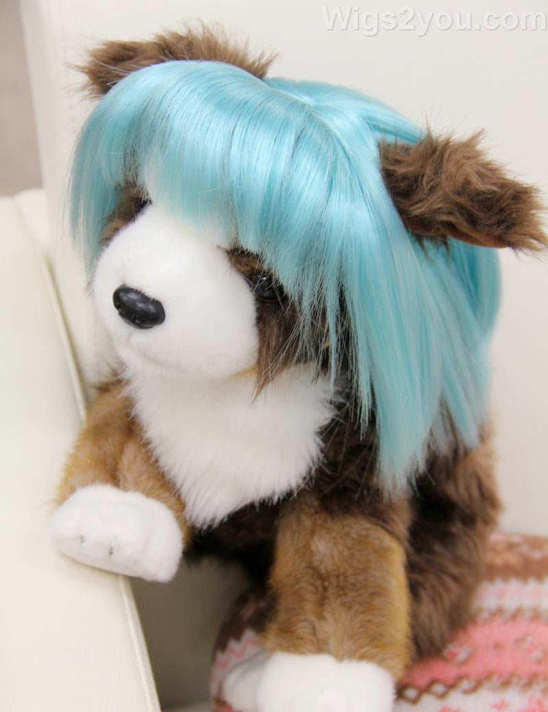 ペットウィッグ P-037 ターコイズ ディバインドッグとクラスキーキャットのための豪華なペットウィッグ